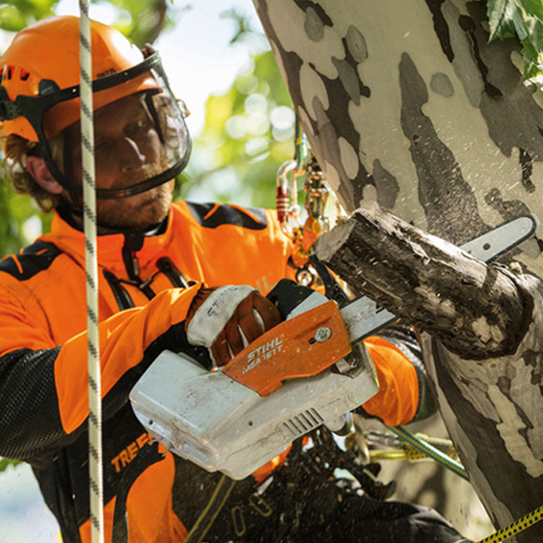 STIHL MSA 161 T 36 Volt Skin Only The Chain Saw Centre